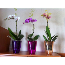 Кашпа Орхидея с опори за орхидеи