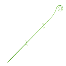 Опора за орхидеи 