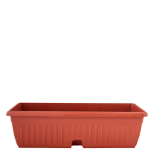 Сандъче ТЕРА  MK без подложка 50х19см 