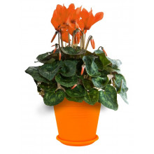 Flowerpot GLORIA with base 18.5x18.0cm